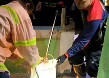 Dari Ular hingga Buaya, PMK Tarakan Tangani 318 Operasi Non-Kebakaran