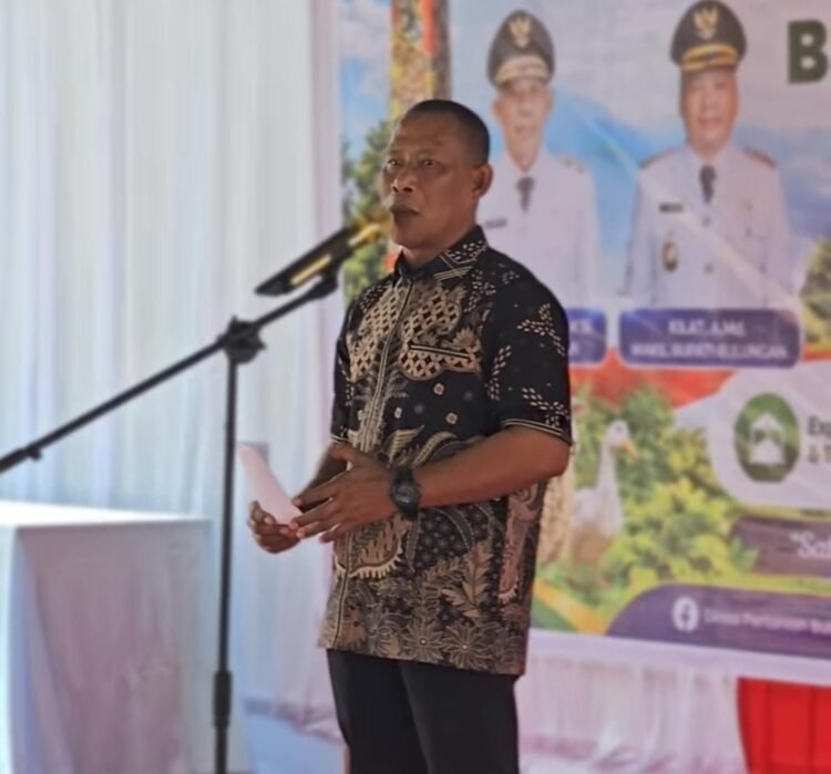 Bulungan Masih Bergantung Pasokan Ayam dari Luar Daerah