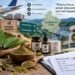 Barantin Kaji Pemanfaatan Kratom, Eksportir Tunggu Kepastian Aturan