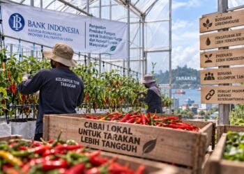 Cabai Berulang Tekan Inflasi Tarakan, BI Dorong Budidaya Greenhouse