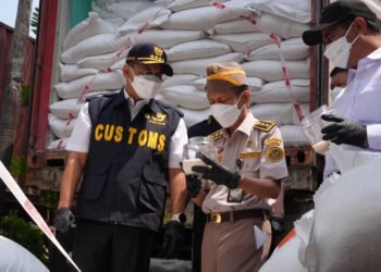 Temuan 202 Ton Beras India, Barantin Ingatkan Ancaman Organisme Karantina