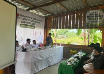Modernisasi Pertanian Nunukan Perlu Berbasis Karakter Lahan