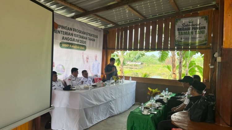 Modernisasi Pertanian Nunukan Perlu Berbasis Karakter Lahan