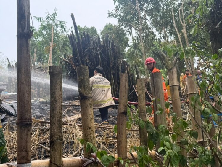Diduga ODGJ Bakar Sampah, Warga Markoni Panik Lapor Damkar