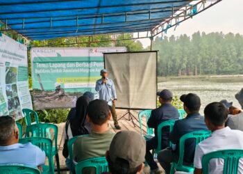 Pembukaan Tambak Meluas, Pemulihan Mangrove Perlu Pendampingan