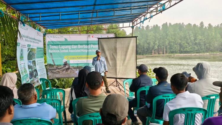 Pembukaan Tambak Meluas, Pemulihan Mangrove Perlu Pendampingan
