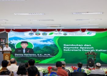 Pemprov Perkuat Perlindungan Hutan melalui Program REDD+ 