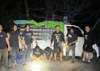 151 Jeriken Pertalite Diangkut Pakai Pikap, Dua Orang Diperiksa Polda Kaltara