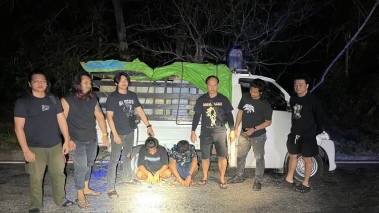 151 Jeriken Pertalite Diangkut Pakai Pikap, Dua Orang Diperiksa Polda Kaltara