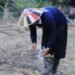 TMMD ke-130 Kodim Tarakan Tak Hanya Bangun Infrastruktur, tetapi Juga Perkuat Ketahanan Pangan
