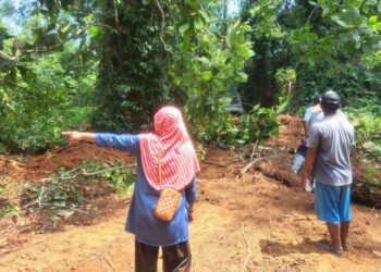 TMMD ke-130 Kodim Tarakan Buka Akses Jalan, Lahamid Berharap Aktivitas Warga Makin Mudah