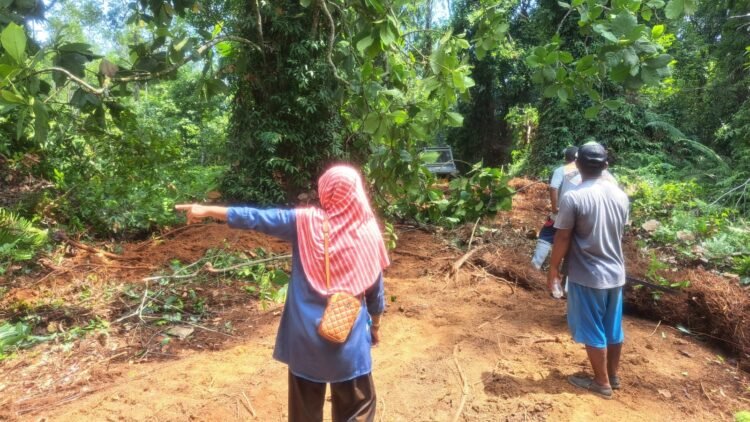 TMMD ke-130 Kodim Tarakan Buka Akses Jalan, Lahamid Berharap Aktivitas Warga Makin Mudah