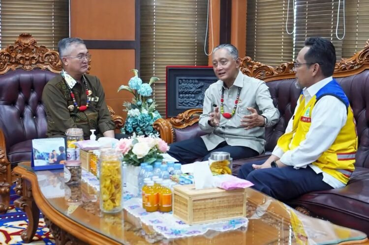 Menteri PU Tinjau Jalan Nasional di Malinau, Target Perbatasan Rampung 2028