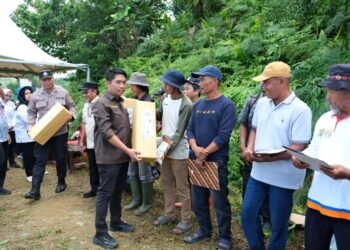 Nunukan Kekurangan 3.584 Ton Pupuk Bersubsidi, DPRD Desak Evaluasi
